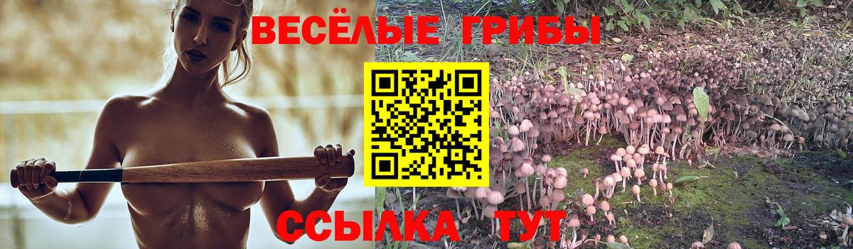 Галлюциногенные грибы мицелий Костомукша
