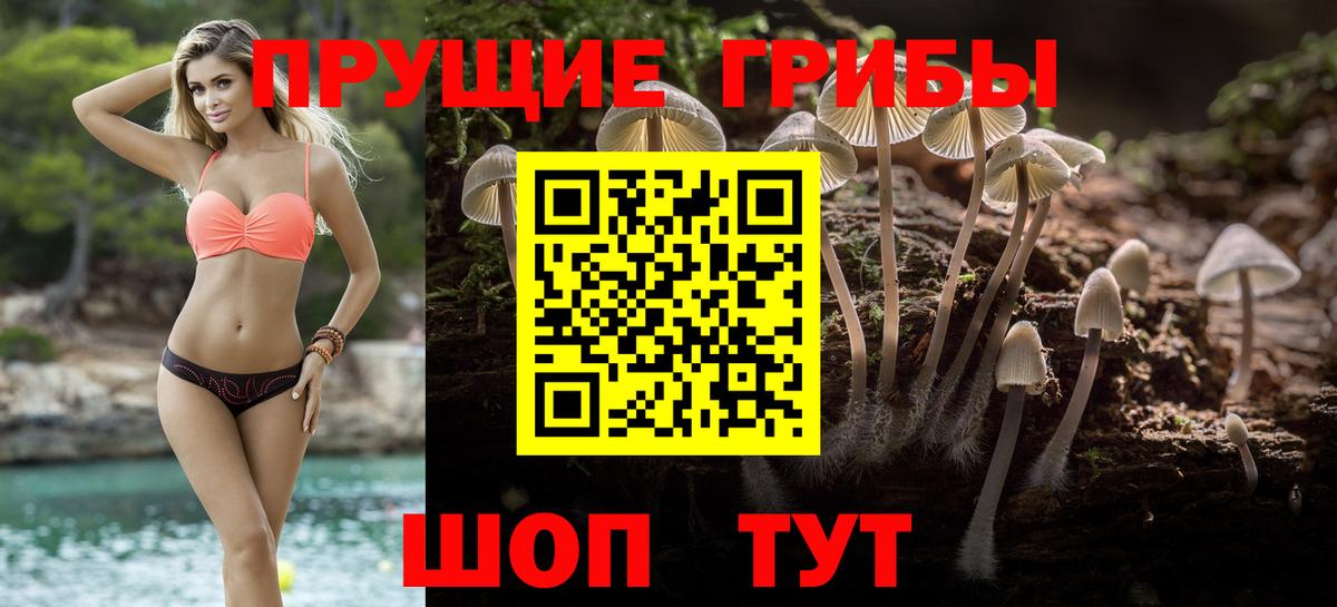 Псилоцибиновые грибы Psilocybine cubensis  Вход с VPN  Костомукша  Галлюциногенные грибы GOLDEN TEACHER 